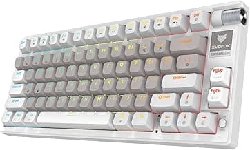 EvoFox Ronin Wireless Mechanical Keyboard - RGB, Outemu Reds